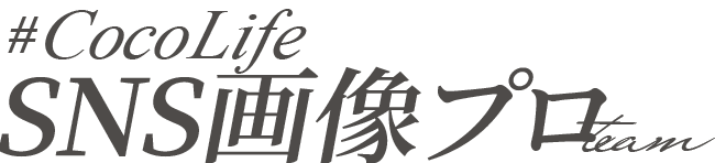 CocoLife画像プロ